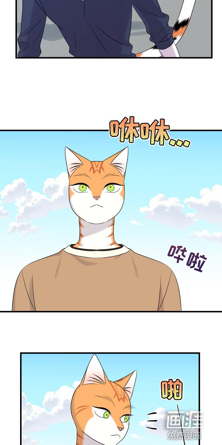 第93章：【第二季】海浪声好吵