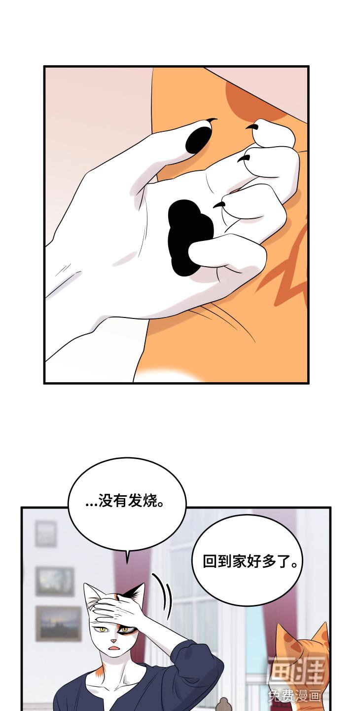第93章：【第二季】海浪声好吵