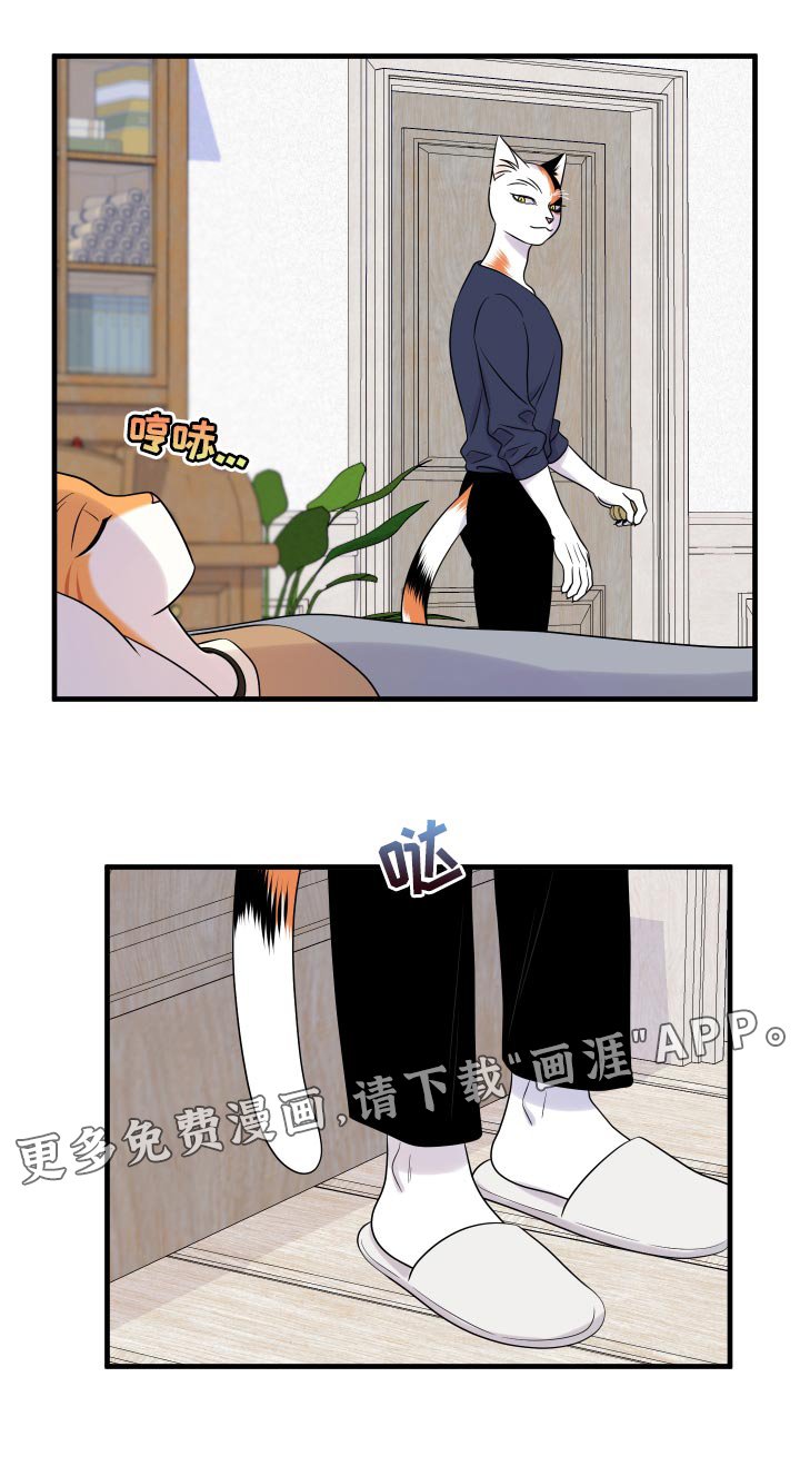 第93章：【第二季】海浪声好吵