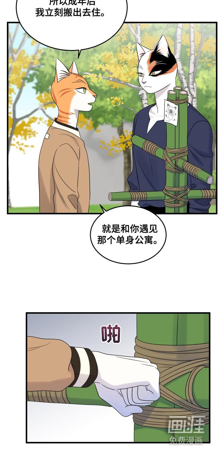 第95章：【第二季】想回去