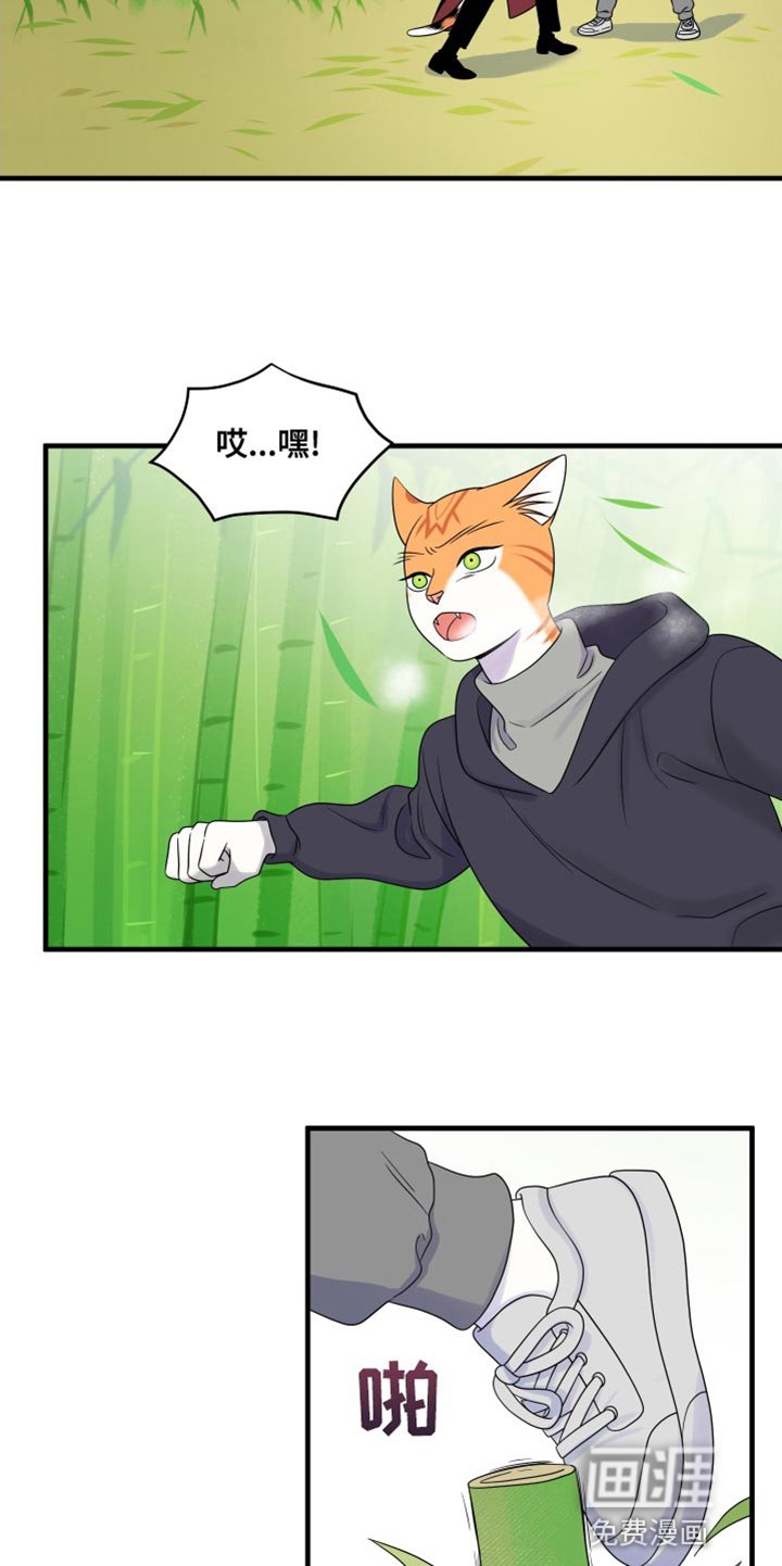 第95章：【第二季】想回去