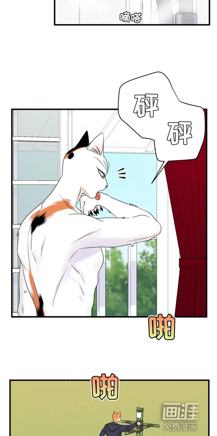 第95章：【第二季】想回去