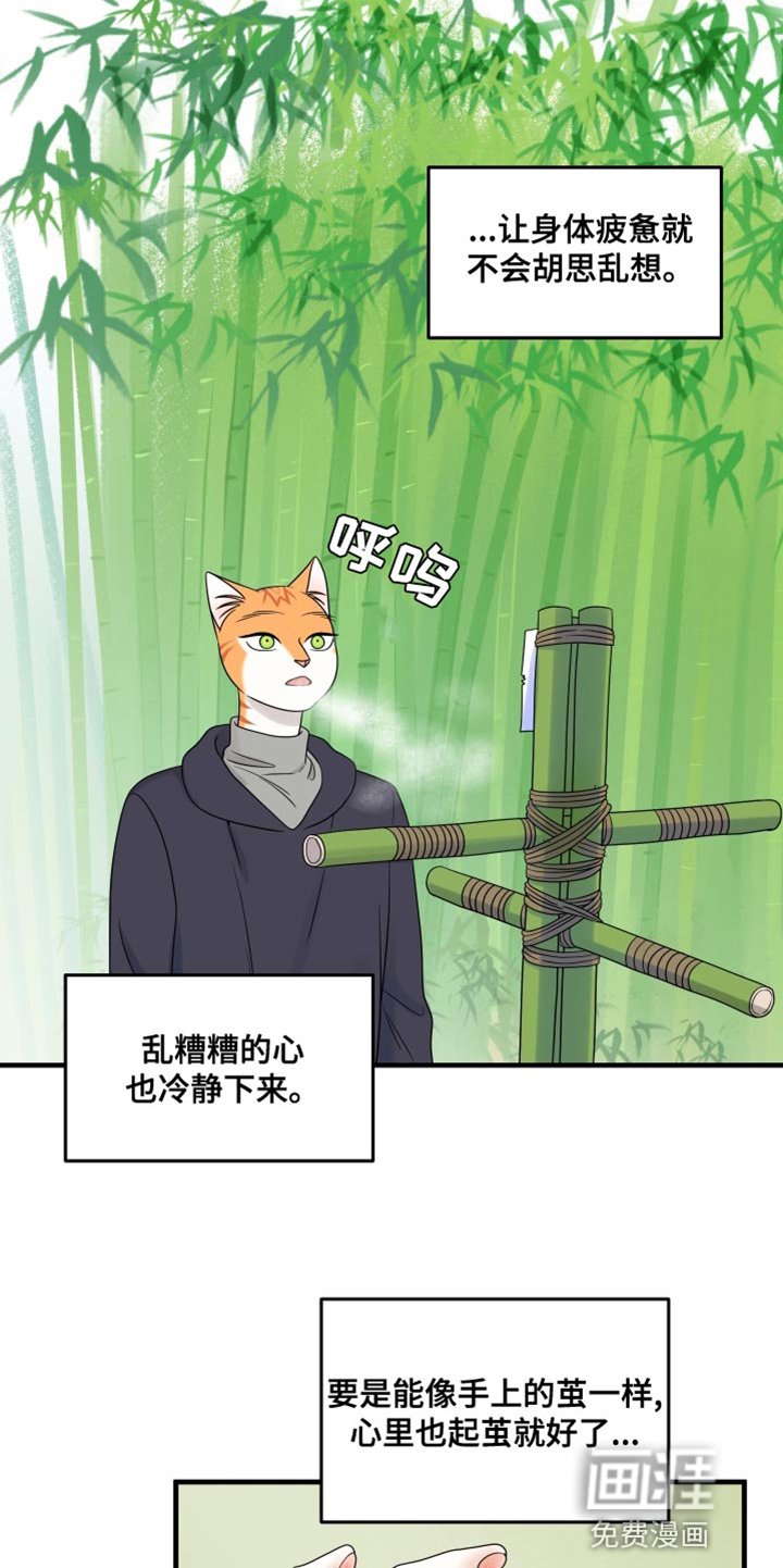 第95章：【第二季】想回去