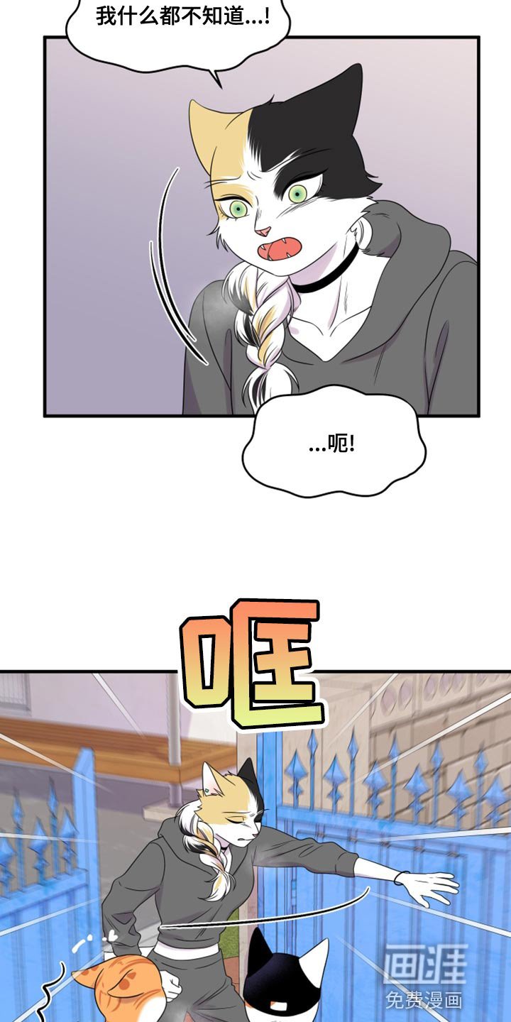 第99章：【第二季】不想困着你