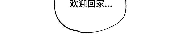第28章：欢迎回家