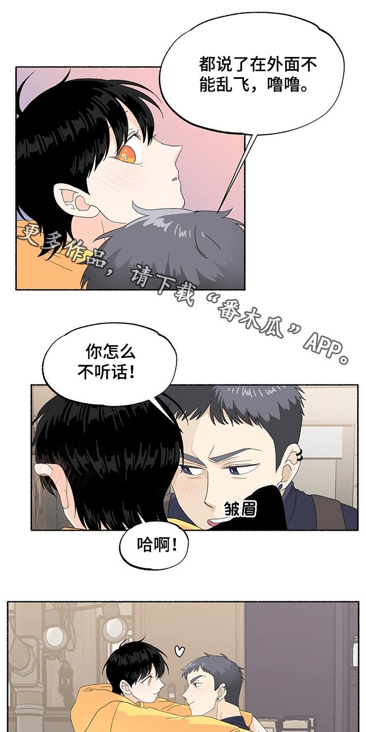 第37章：期待