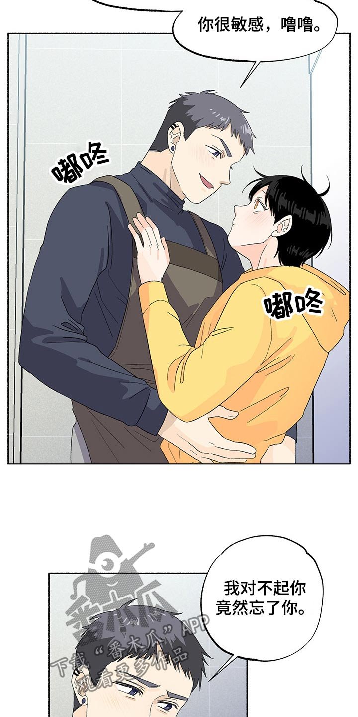 第37章：期待