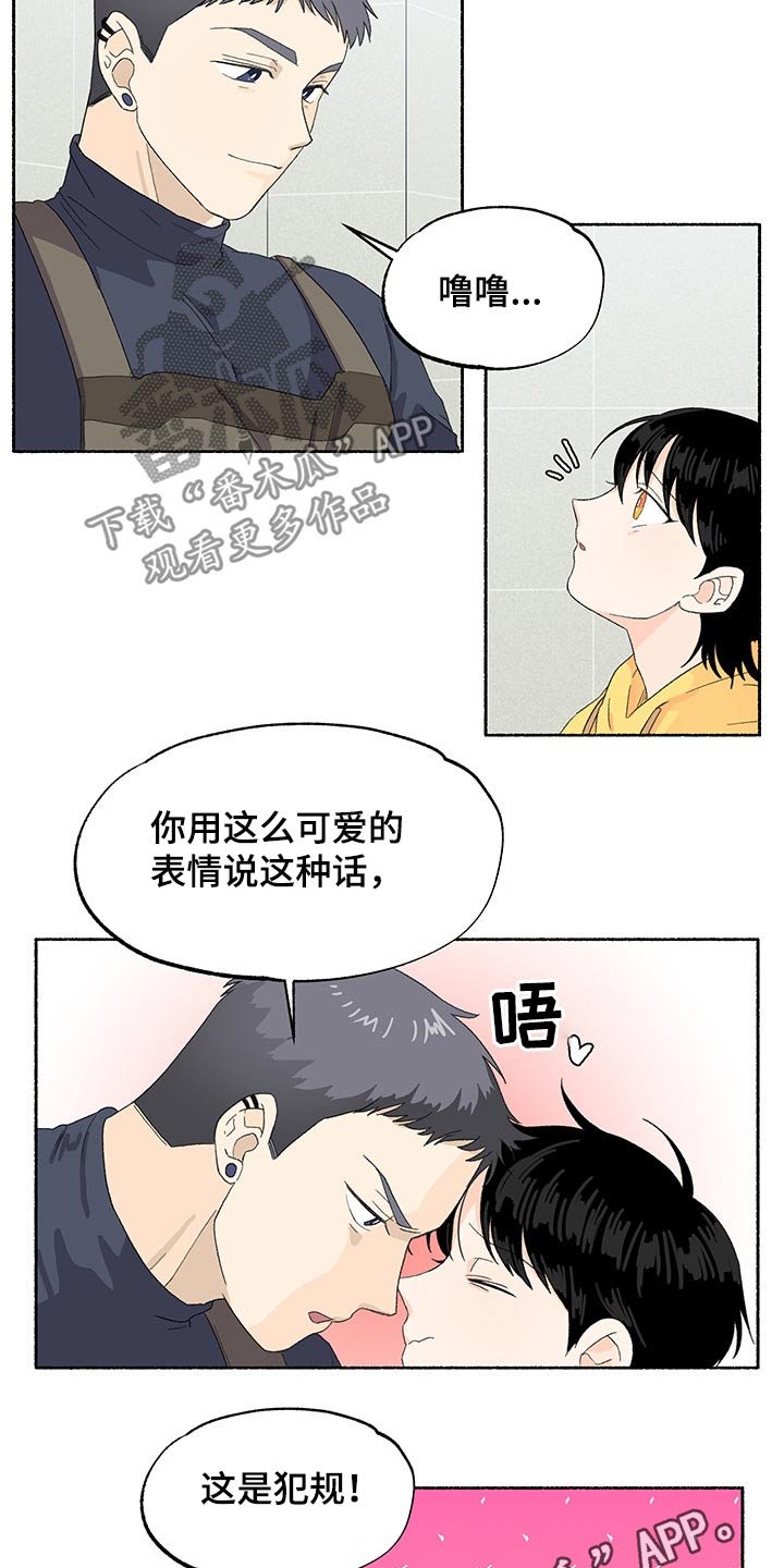 第37章：期待