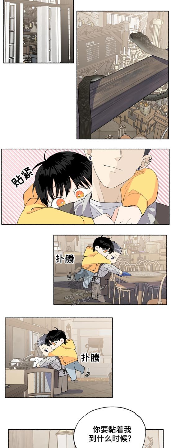 第42章：我的名字