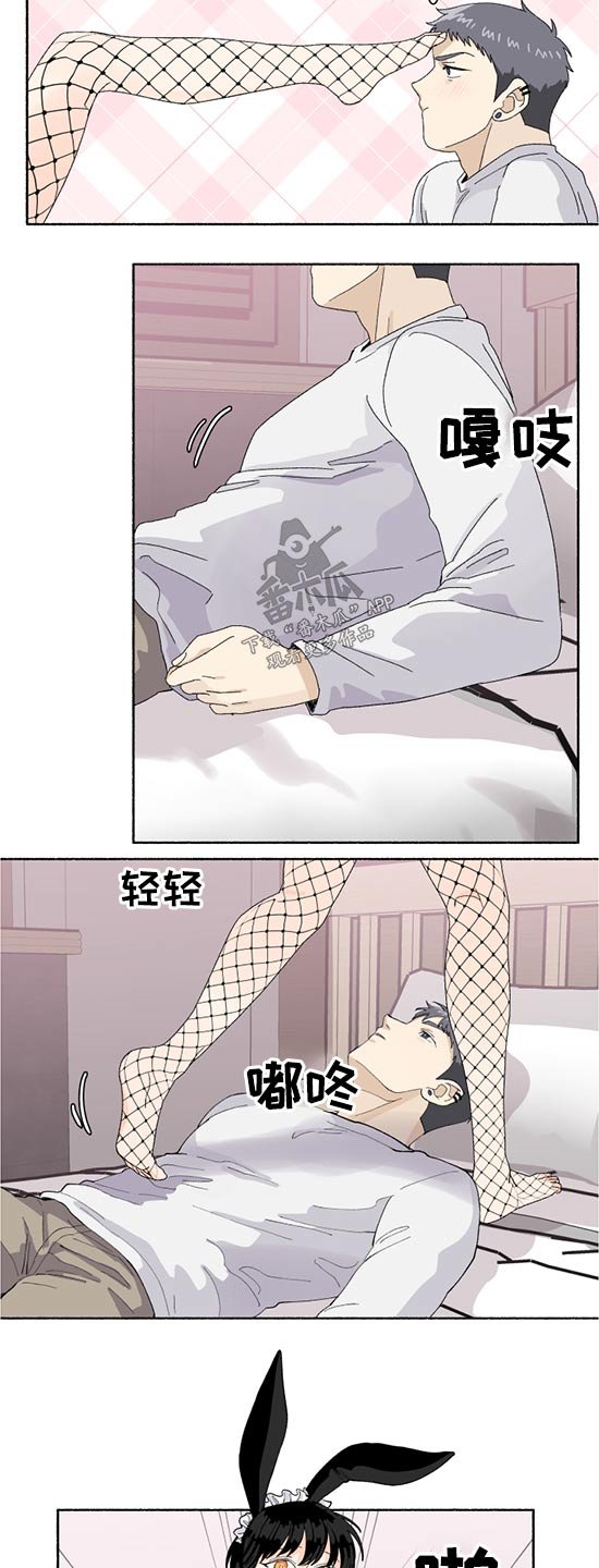 第42章：我的名字