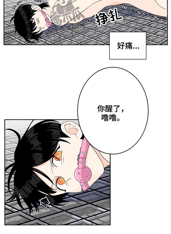 第47章：晕倒