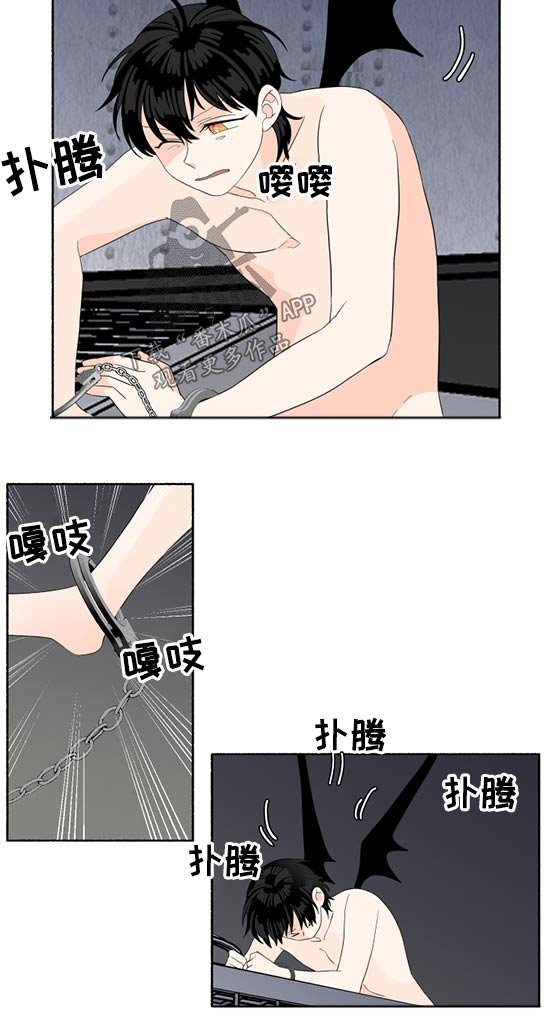 第51章：挣脱