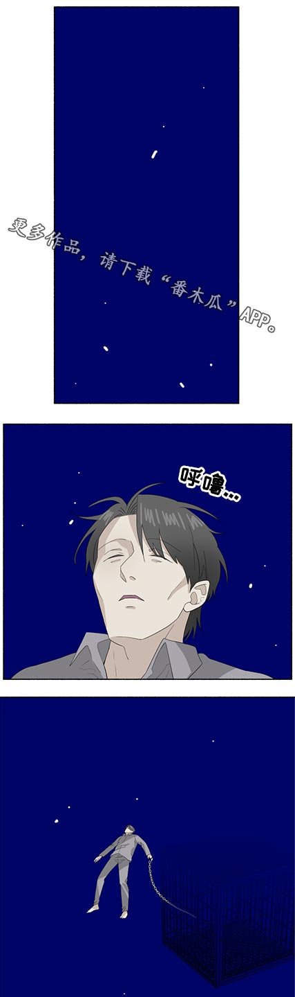 第52章：出现
