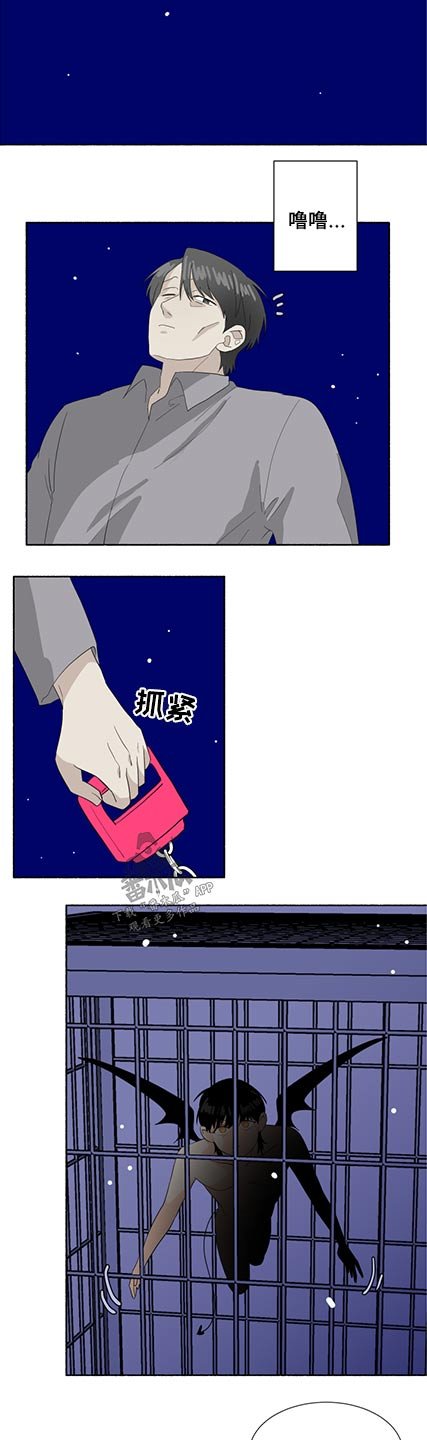 第52章：出现