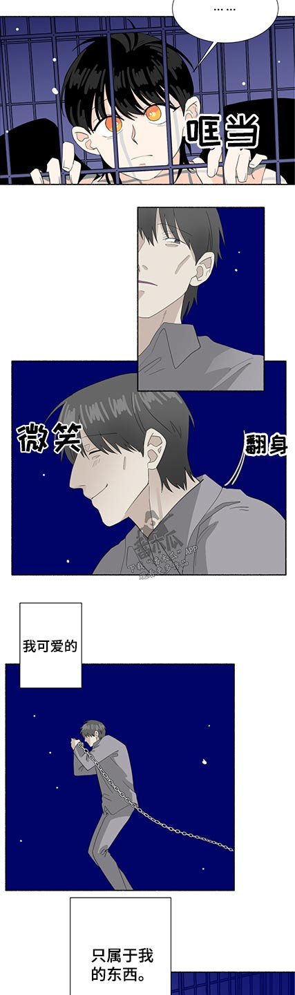 第52章：出现