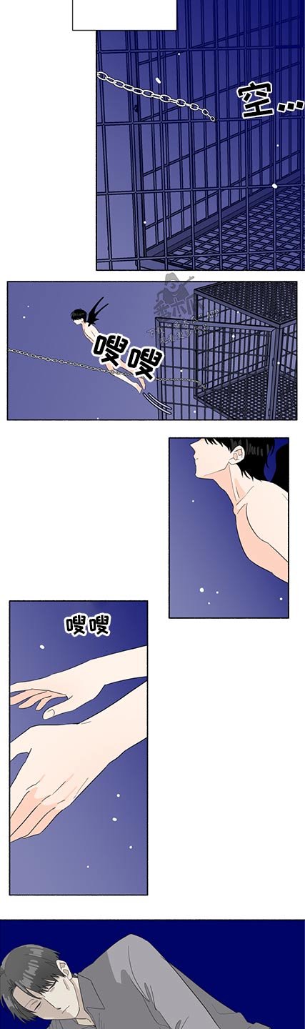 第52章：出现