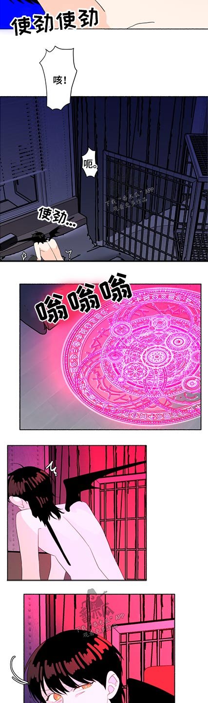 第52章：出现