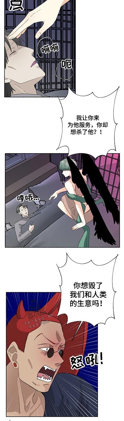 第52章：出现