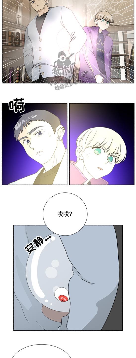 第55章：水晶球