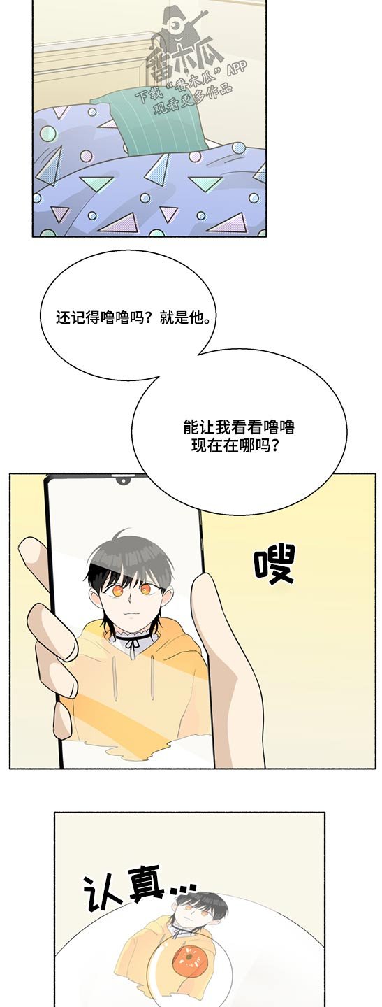 第56章：发光