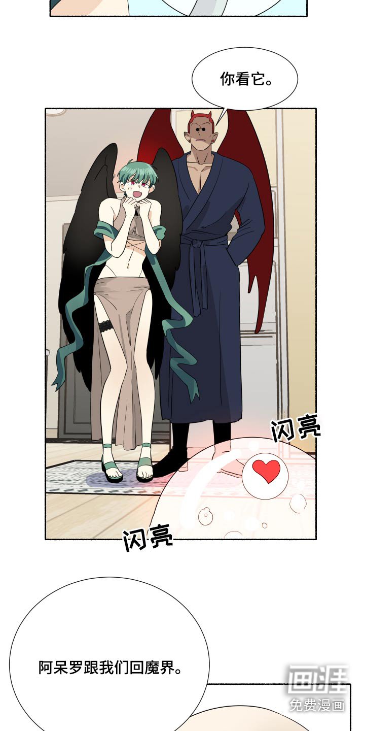 第60章：最好的安排【完结】