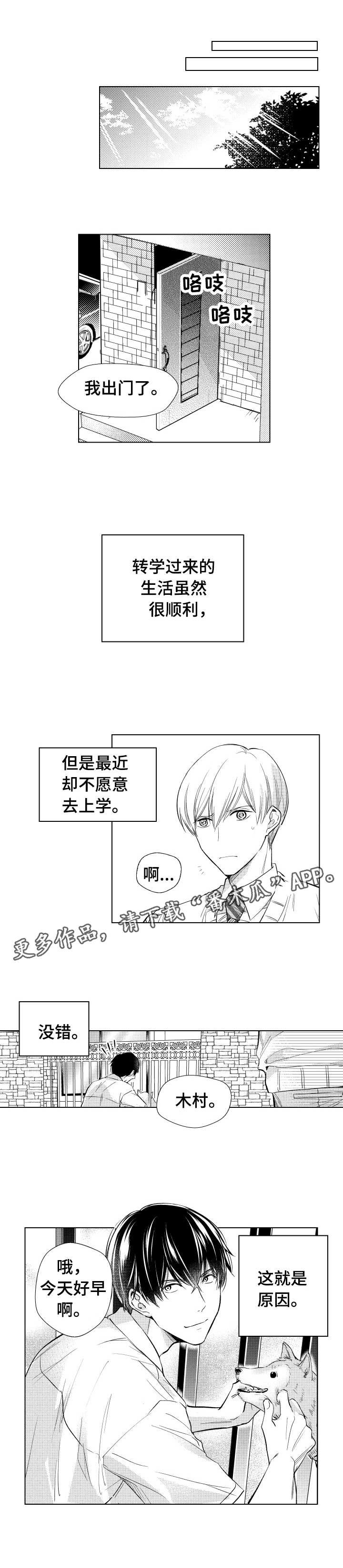 第10章：道歉