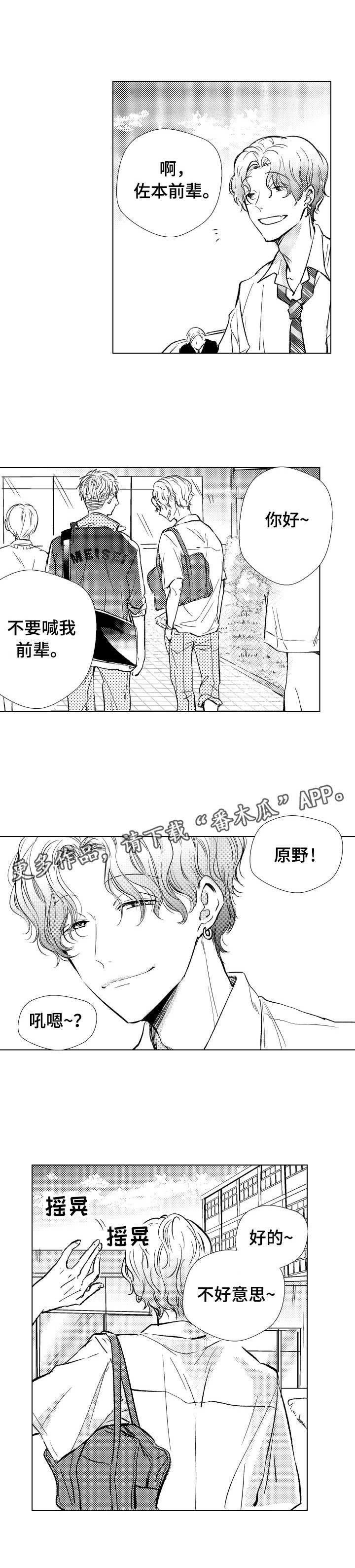 第12章：生面孔