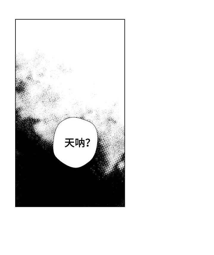 第14章：上镜