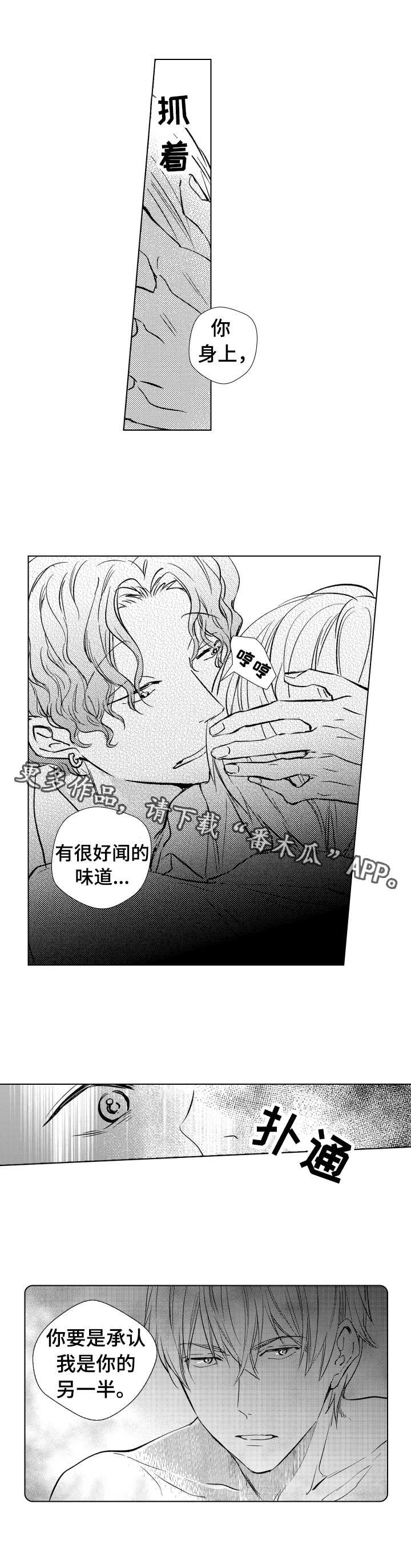 第14章：上镜