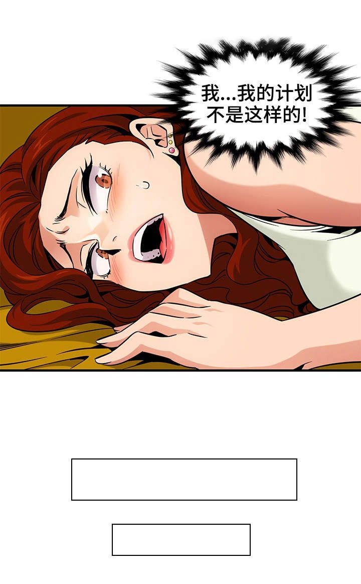 第17章：新的阴谋