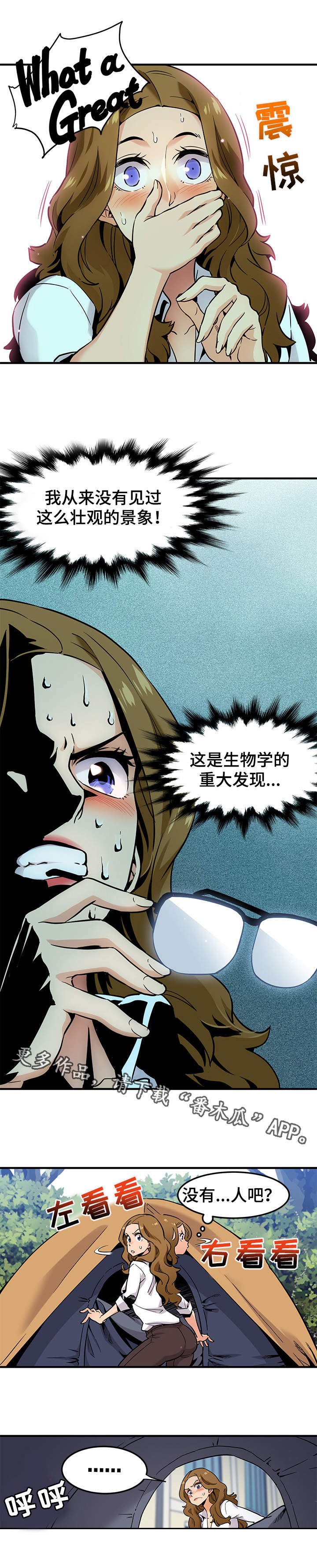 第6章：景象壮观