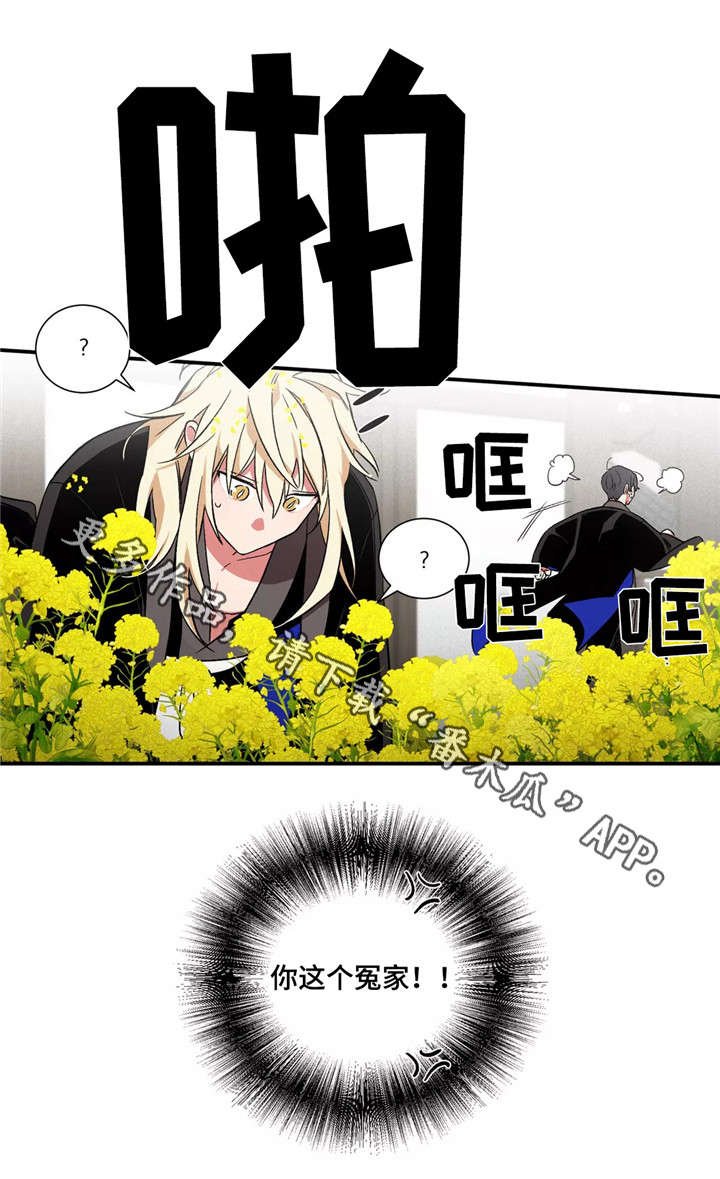 第17章：冤家