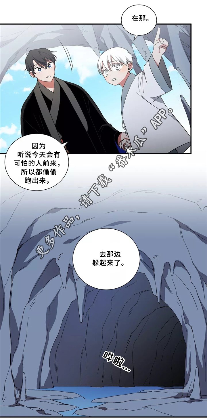 第28章：白鲸