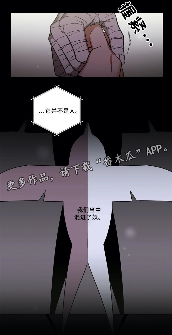 第42章：疑惑