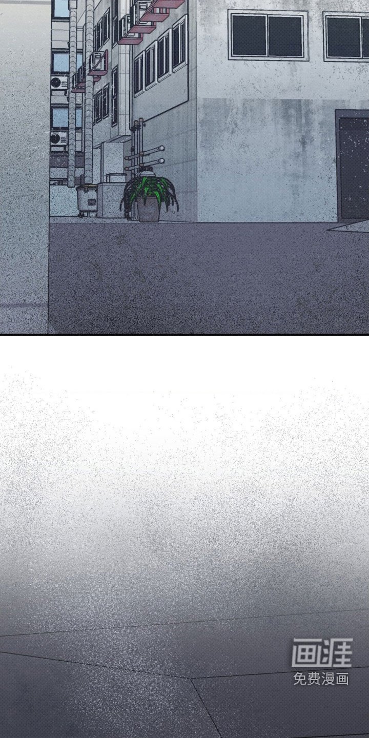 第33章：送惊喜