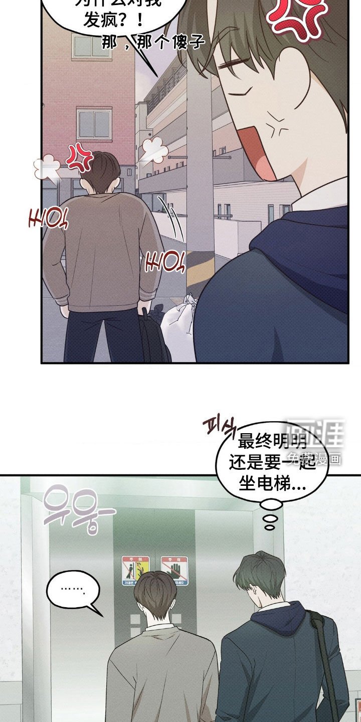 第36章：疯子