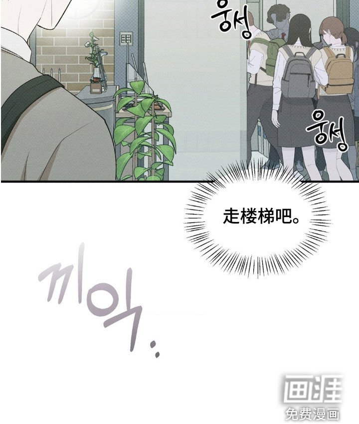第36章：疯子