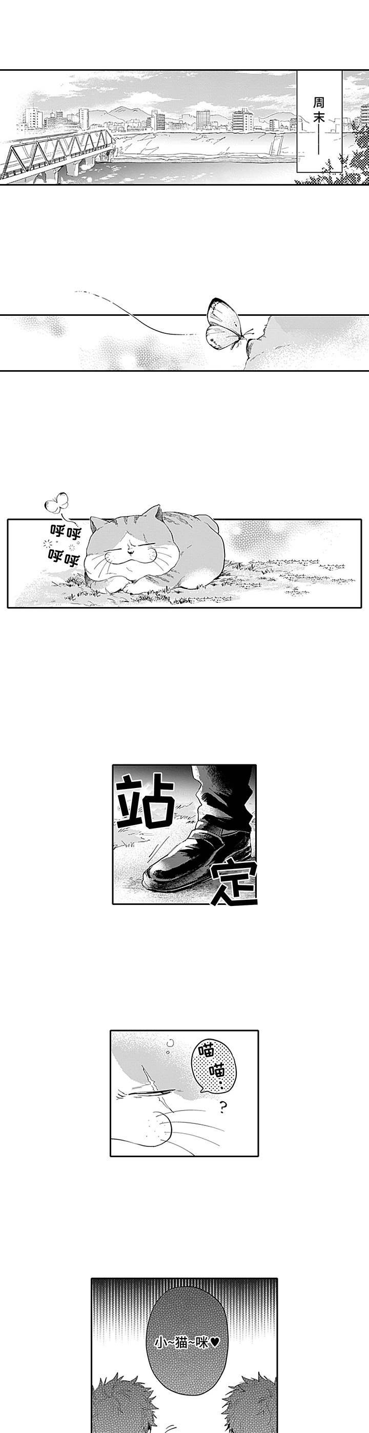第14章：开打