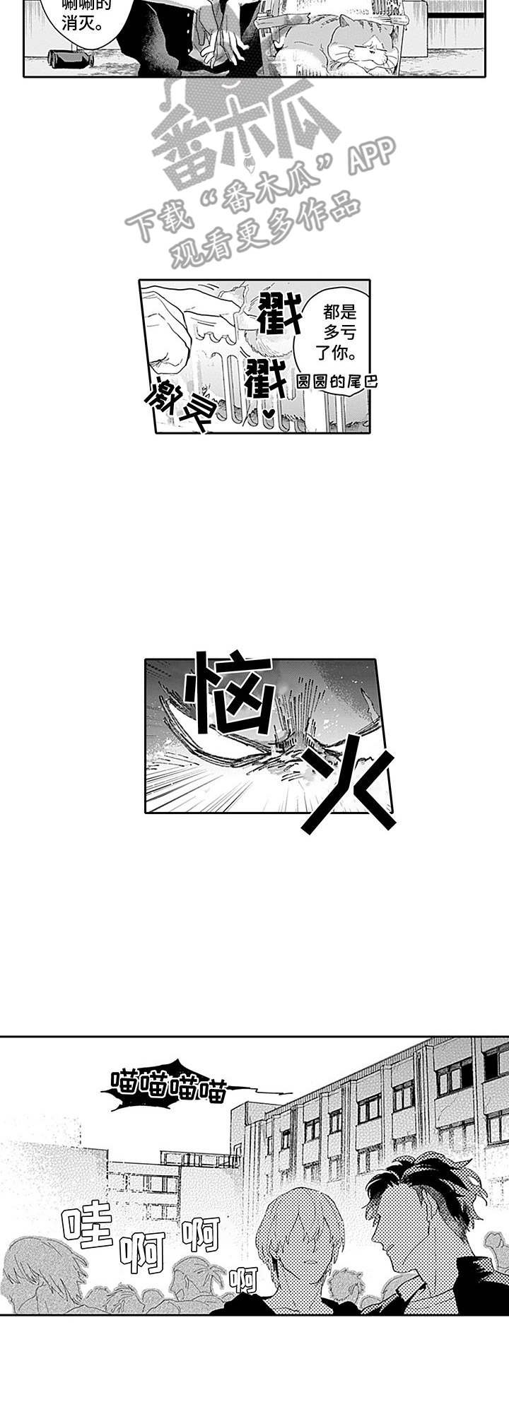 第15章：慌了