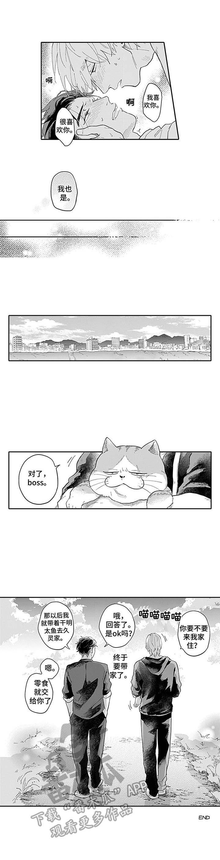 第17章：无法冷静