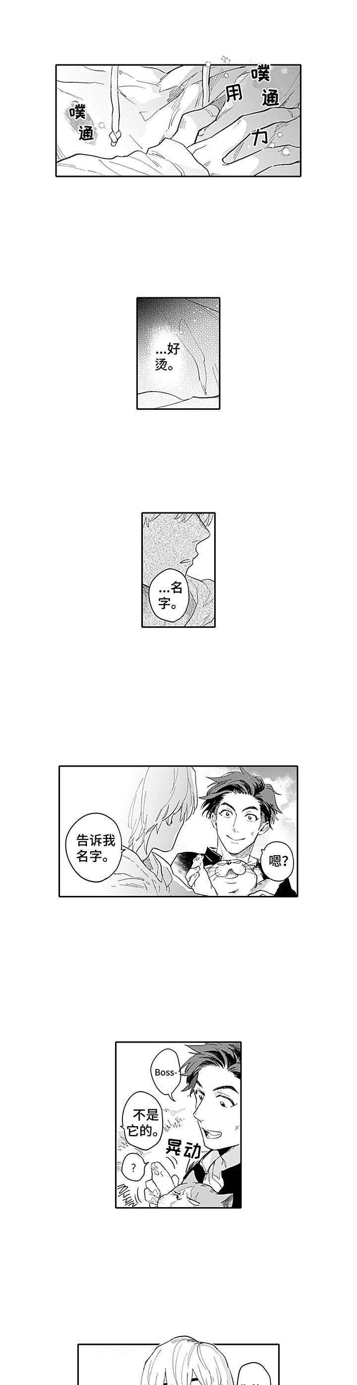 第3章：心动