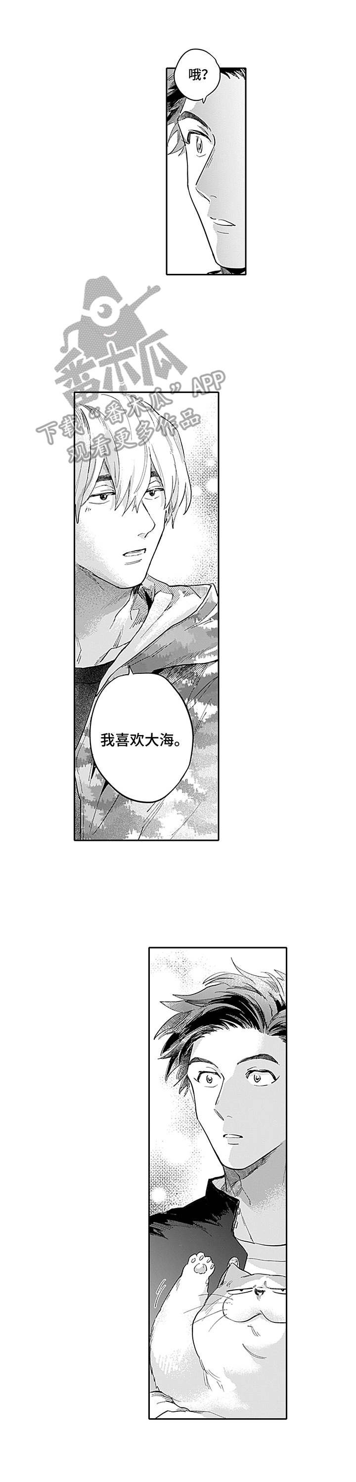 第4章：表白