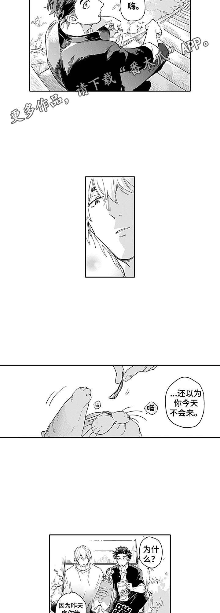 第5章：考虑一下