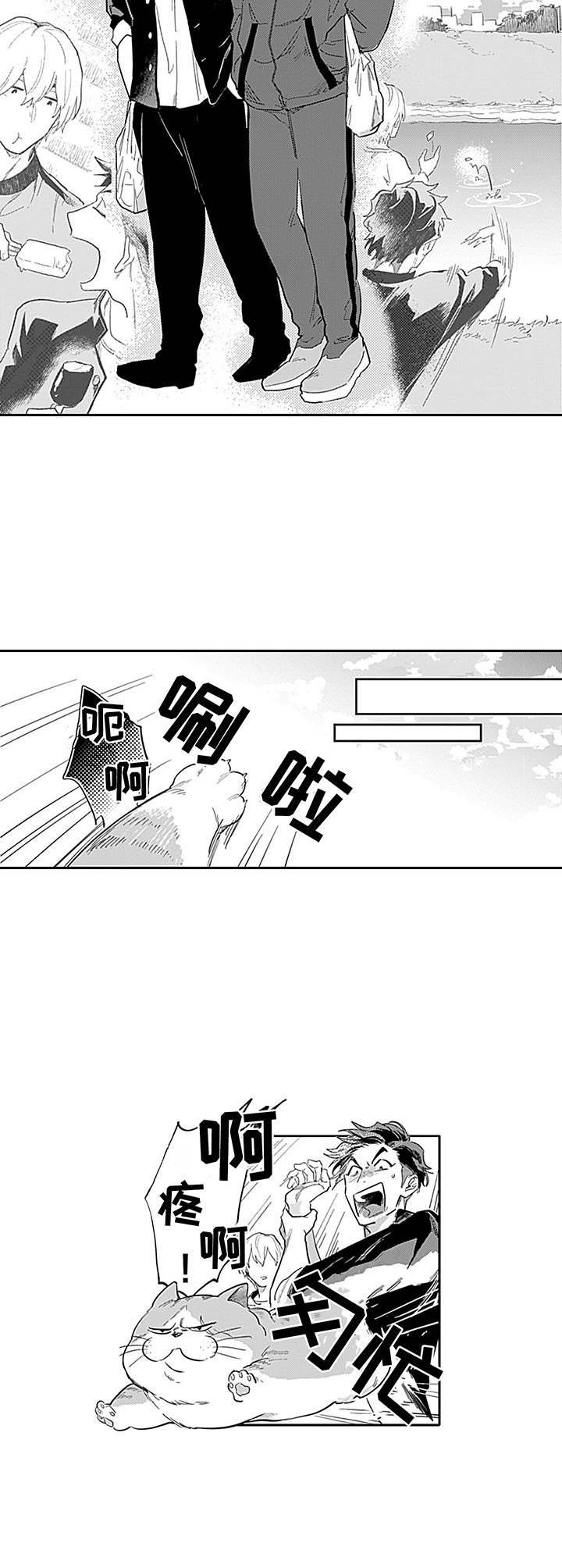 第5章：考虑一下
