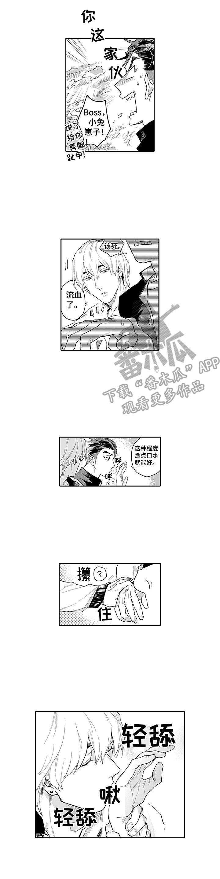 第5章：考虑一下