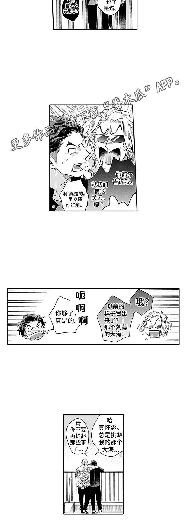 第6章：反常