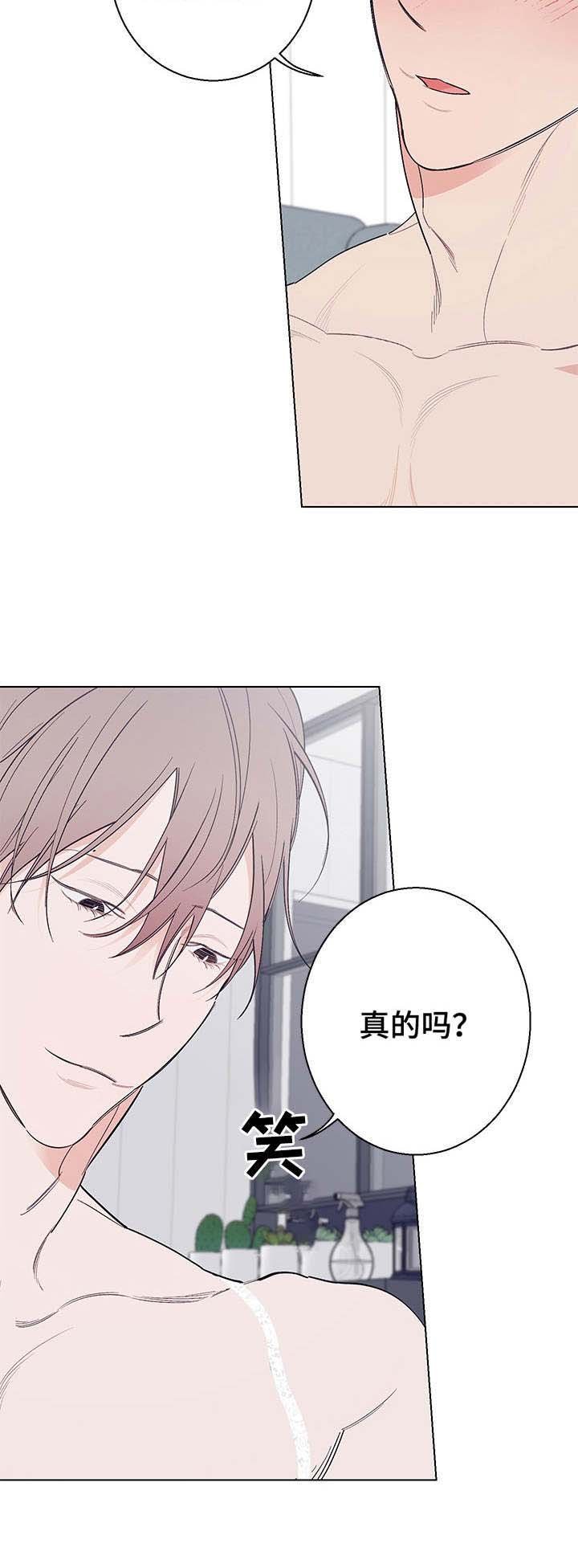 第16章：很喜欢（完结）