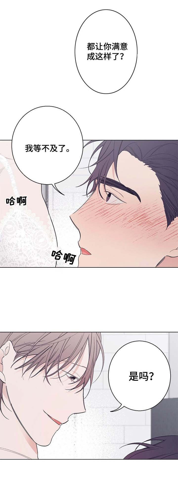 第16章：很喜欢（完结）