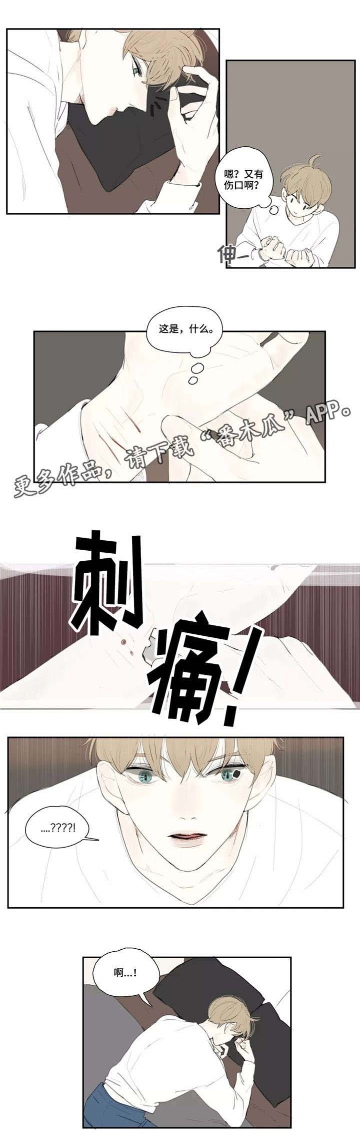 第11章：刀疤