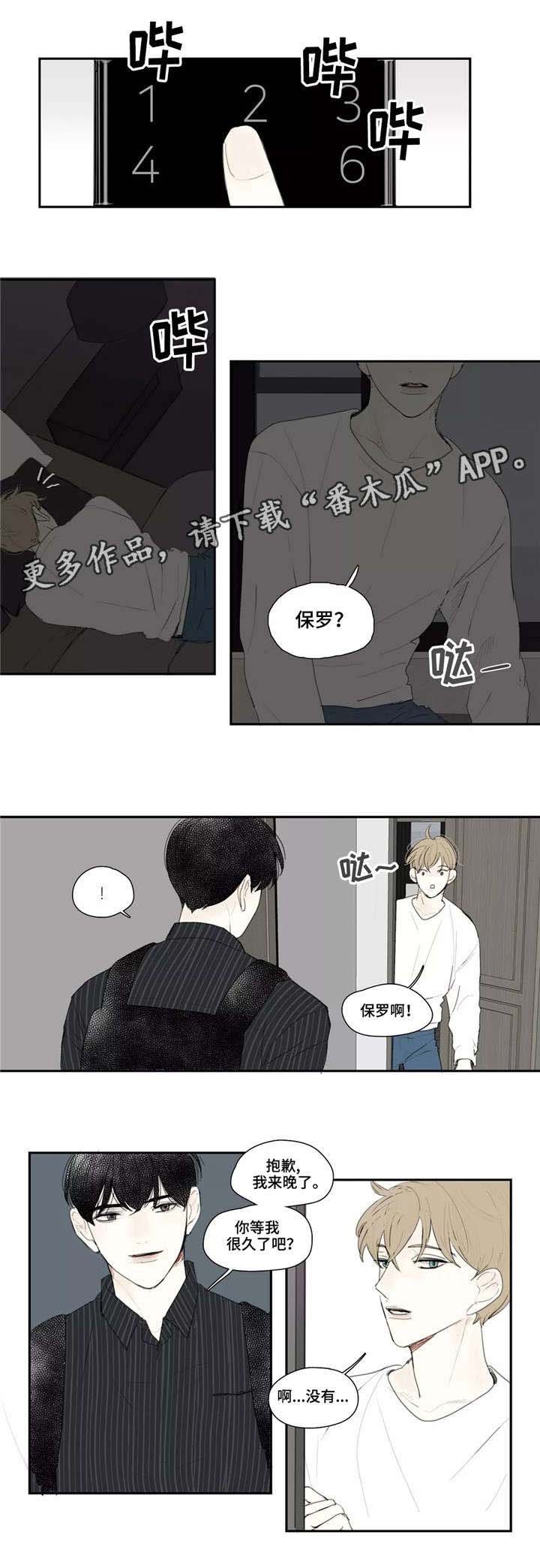 第11章：刀疤